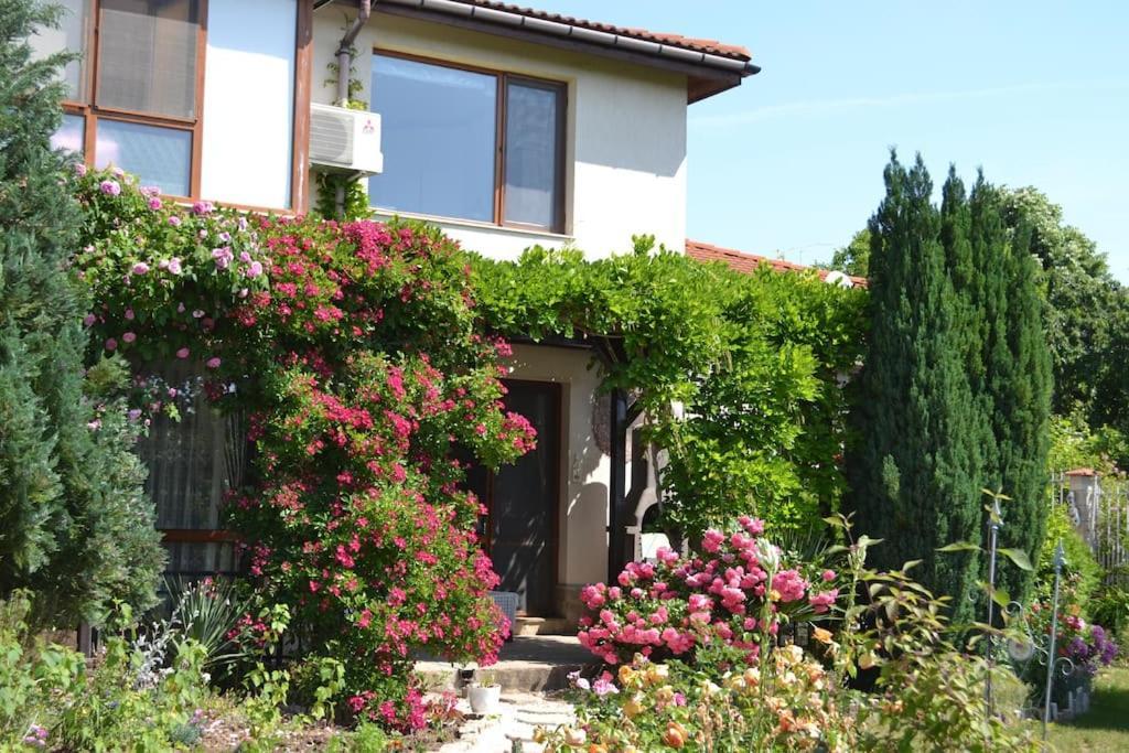 Sea & Garden Villa Varna Dış mekan fotoğraf