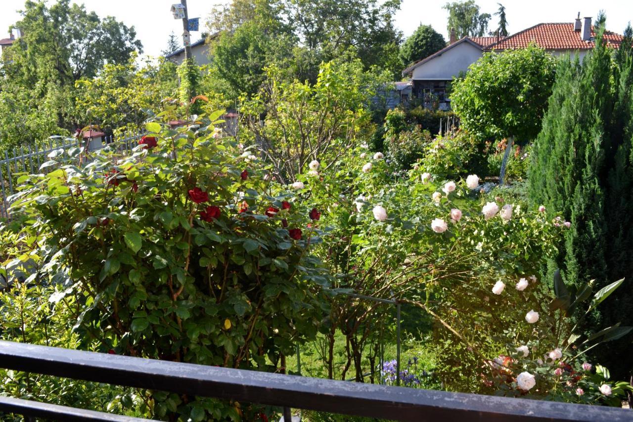 Sea & Garden Villa Varna Dış mekan fotoğraf