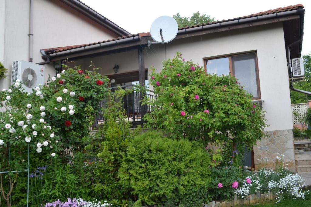 Sea & Garden Villa Varna Dış mekan fotoğraf