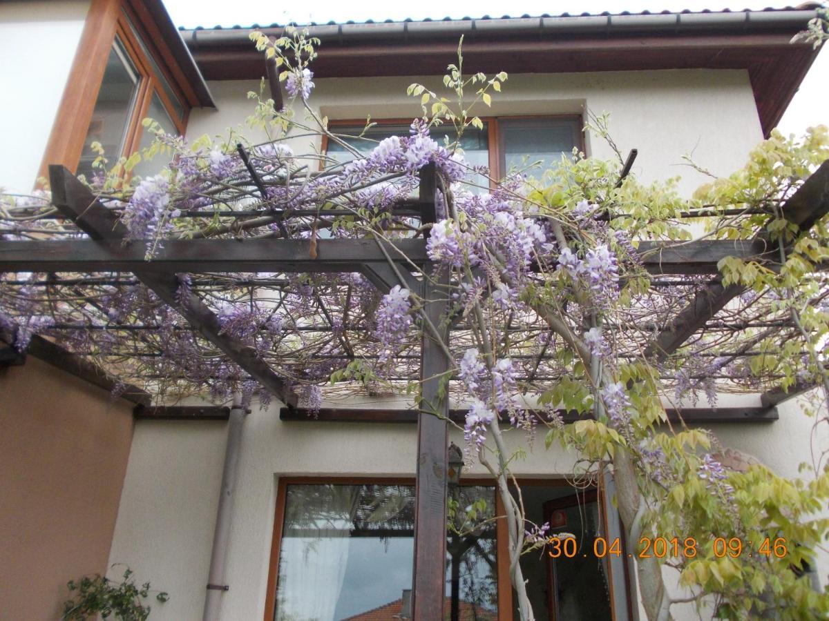 Sea & Garden Villa Varna Dış mekan fotoğraf